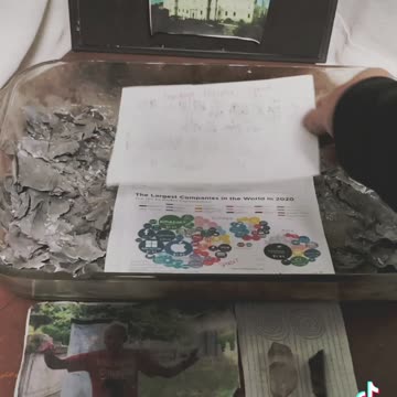 Tim Rifat TikTok Videos