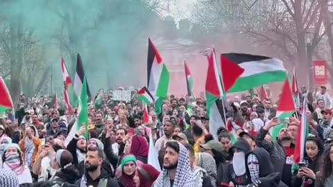 counter protest in montreal tomorrow morning