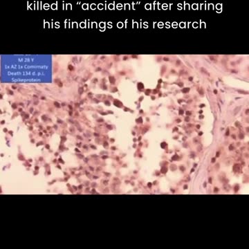 GERMAN PROFESSOR KILLED IN "ACCIDENT" AFTER SHARING HIS FINDINGS OF HIS RESEARCH
