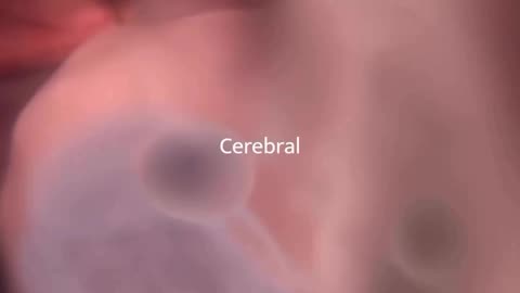 For those who struggle knowing when live begins