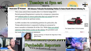 Psychedelic Reporters Ep171 August 26th, 2025