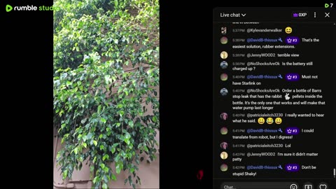 The Saga of Caveman Continues & A KRACKY NEW YEAR