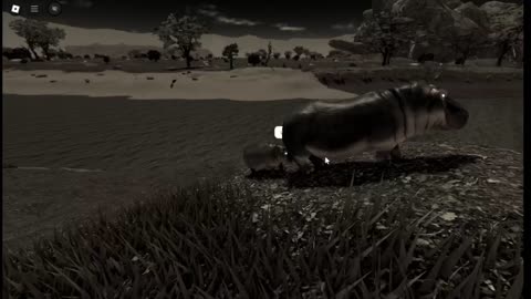 baby hippo hits its momy