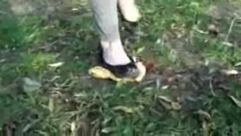 Banana crushed in grass