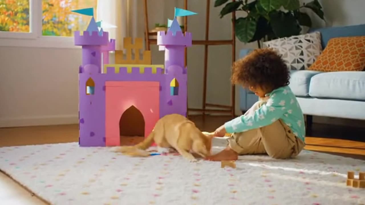 A cat playing with a child