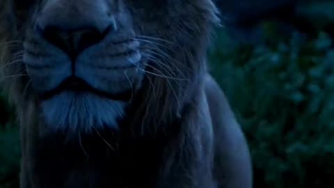 Mufasa 😍❤️ (Part - 45).....#reels #viralreels #reel #mufasa #animation #lastest #romantic #viralreel