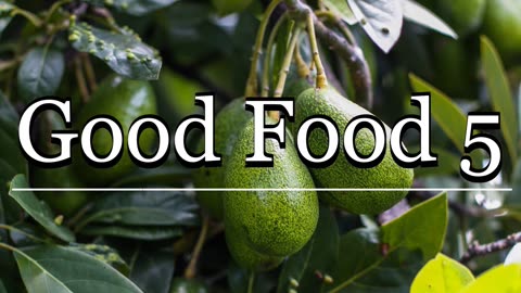Good Food 5