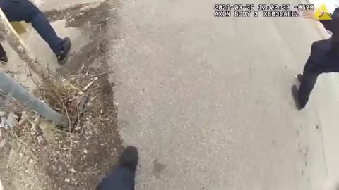 Shocking Bodycam Footage: Cops Get Shot in Intense Shootout Real Responders