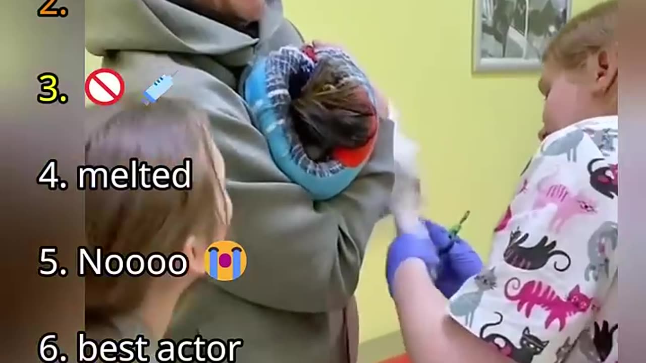 Ranking Best Dogs in Vet Moments