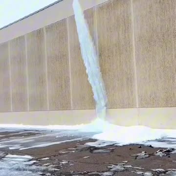 Joy in the winter days