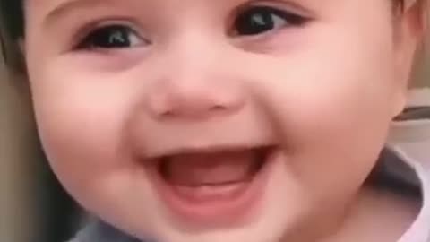 Funny videos