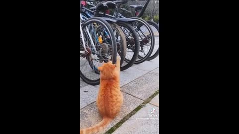 Need a laugh here and there ;)