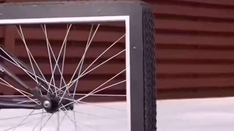 Unique Cycle 🚲