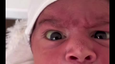 Born Yesterday and Already Over It