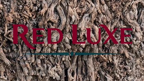 Узнайте, как безопасно перемещаться по Саудовской Аравии! Red Luxe — умра круглый год