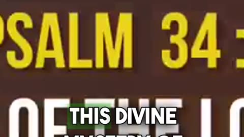 Sacred Silence: Embracing God's Quiet Season