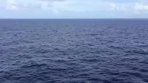 christian waldrip princess cruise memory 1 h3video1