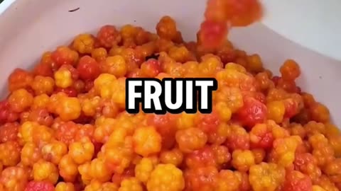 Fruit Facts #fruits #fun #viral #facts