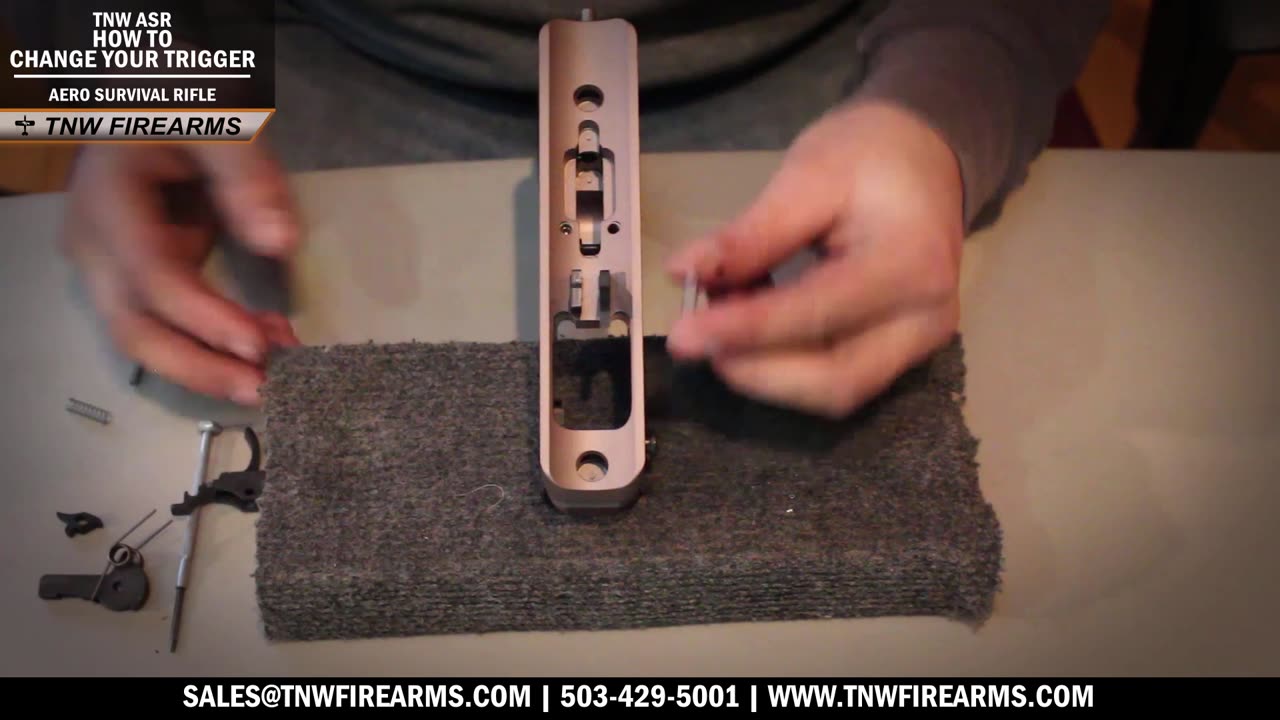How to Change the Trigger and Hammer for your TNW ASR