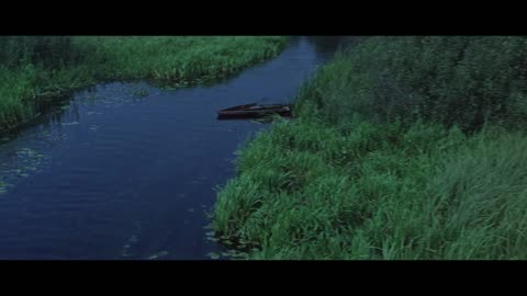 В зоне особого внимания (1977)