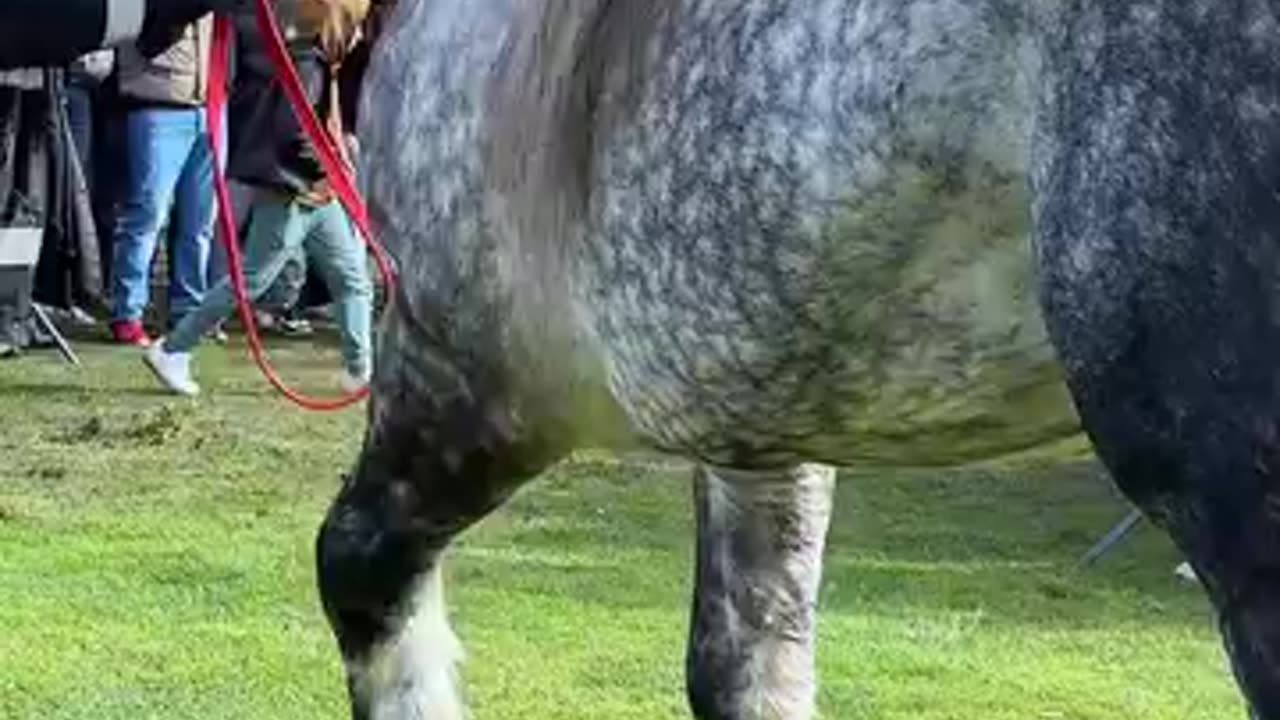 This is very healthy and strong 💪 interesting