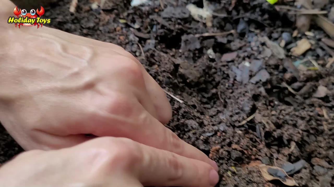 Digging the Ground and Finding Buried Leopard