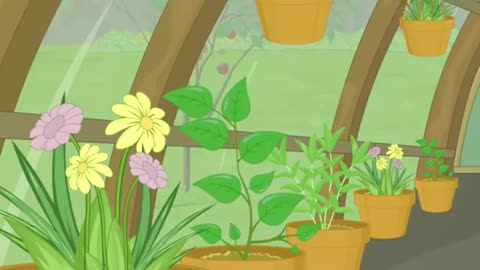 Greenhouse Effect.