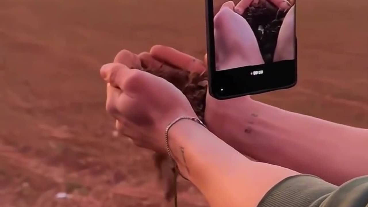 Photoshoot tricks