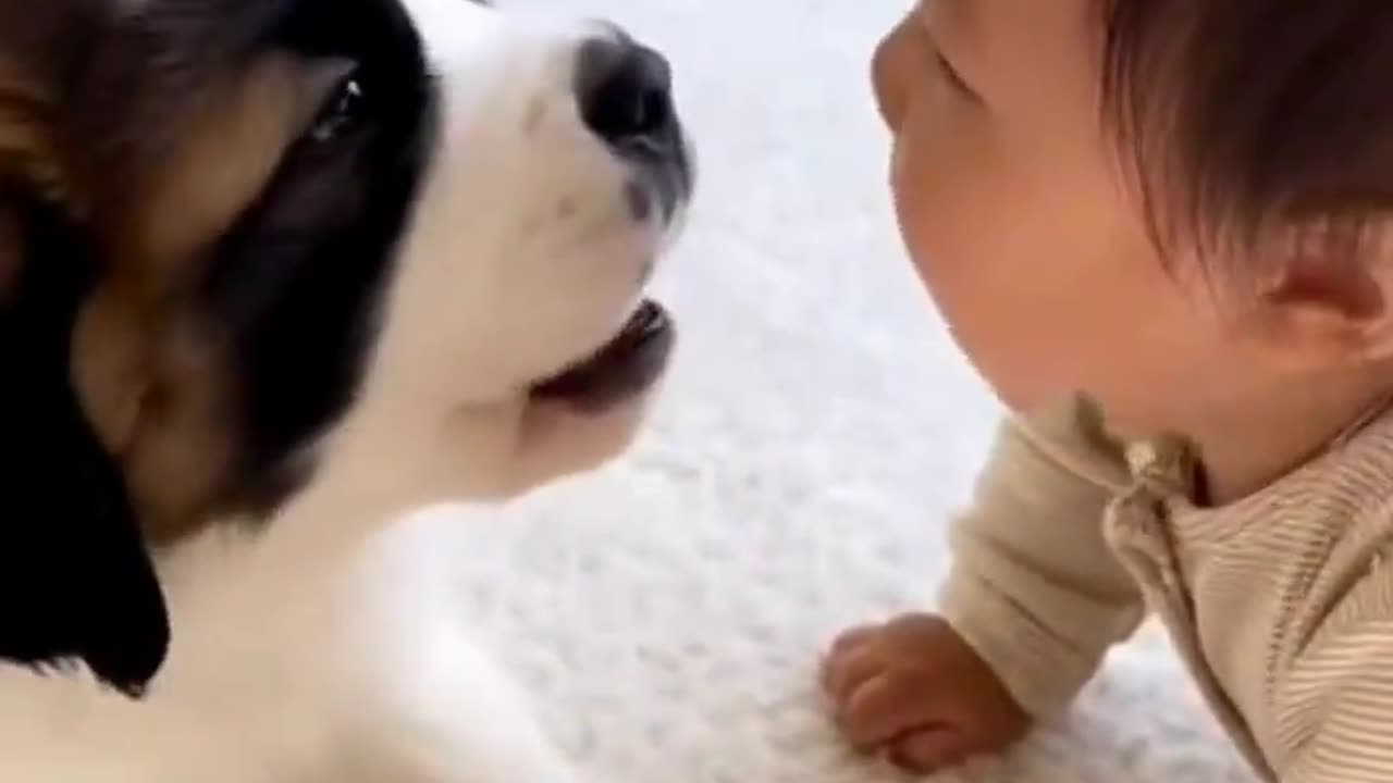 An unlikely friendship..🐶🥰