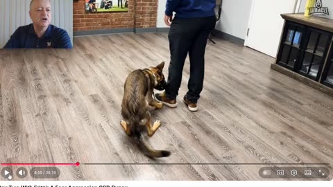 Miracle K9 - Going "Bonkers" with Balanced Dog Training - Pt 4