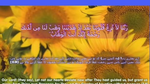 40 Rabbana Duas (Dua no8)