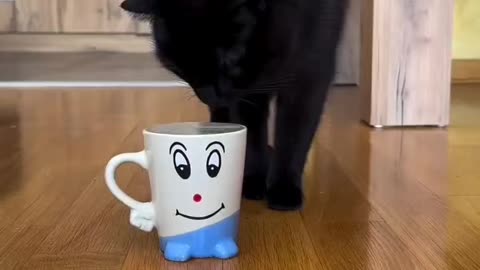🤣The funniest videos with animals - 2025