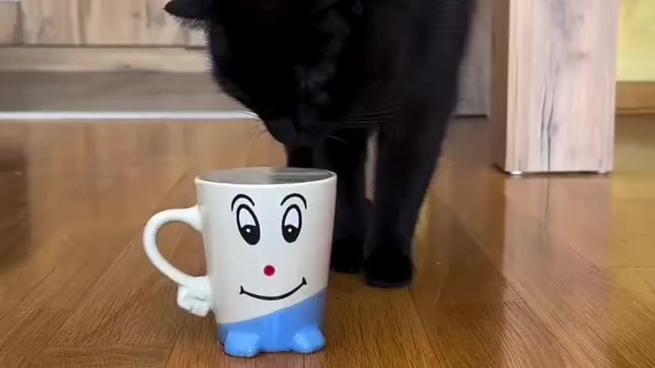 🤣The funniest videos with animals - 2025