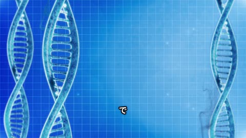 核を持つ最初の生物グリパニアの秘密