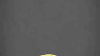 Day 4 of 28 Exposing Black History....