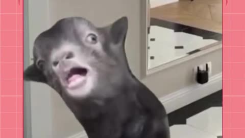 I was just kidding!