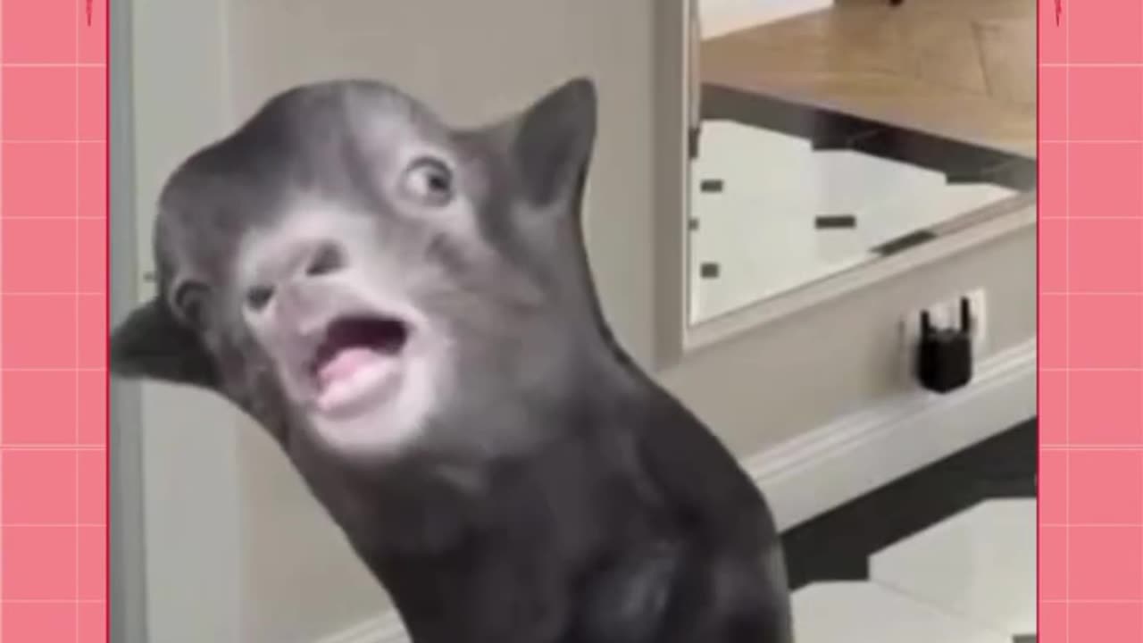 I was just kidding!