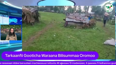 Oduu Ammee ONM-ABO Waxaabajjii 6-2025 itti dhiyaadhaa!