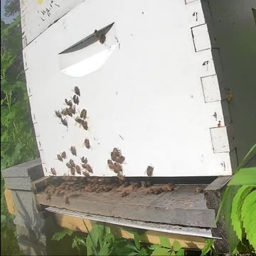 Friday Morning Sunrise