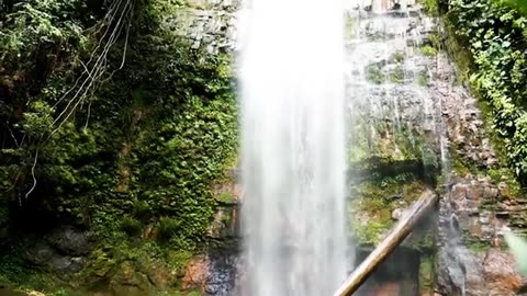Waterfall Nature Background HD Free Stock Video Footage collection