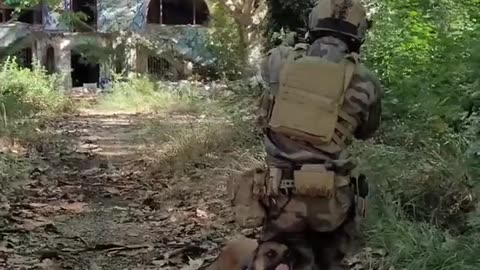 Face the Enamy with Dog 🇺🇸🇺🇸