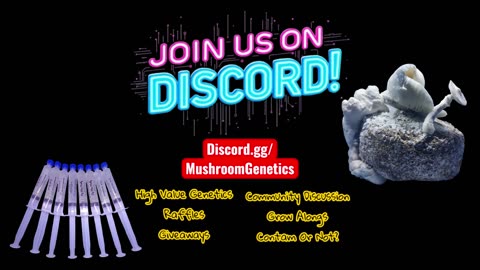 Enigma Mushroom Spawn to Bulk [Rare Genetics Spawned}