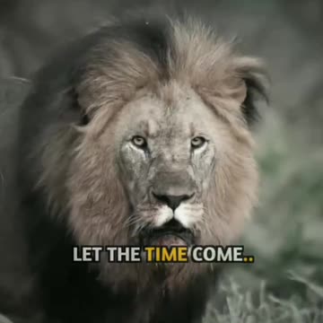 Moov on VIDEO | Come back #trending #viral #com back