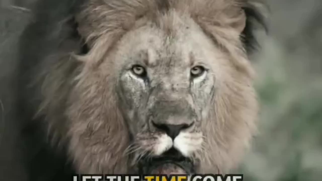 Moov on VIDEO | Come back #trending #viral #com back
