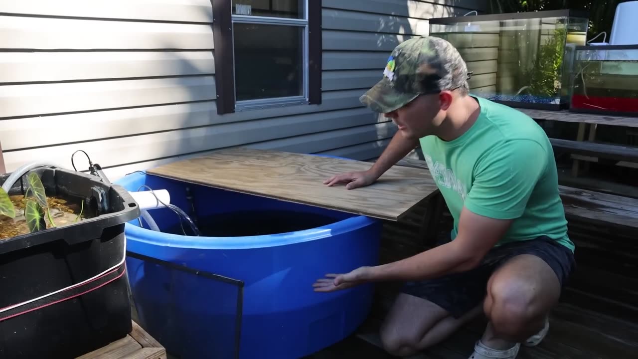 I Found a LIVE Fish Vending Machine...Watch till end to reveal the last one,,