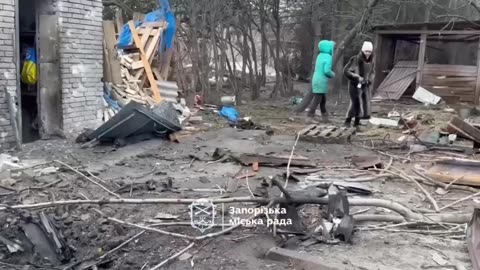 Kharkiv Animal Shelter Evacuated After Russian Drone Strike