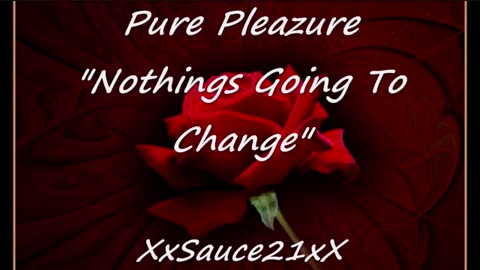 Pure Pleazure - Nothings Going To Change - Freestyle Music