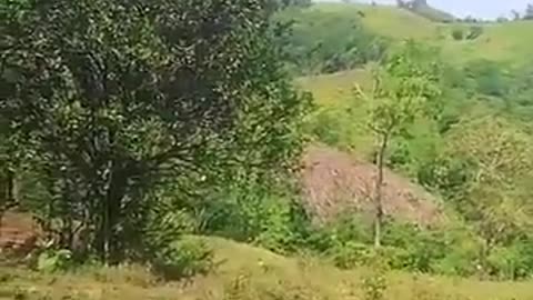 💥🚁 Colombia War | FARC Dissidents Use FPV Drone to Down Police Helicopter | RCF