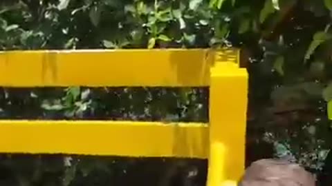 Amazing: Horror moment tourist’s bungee cord snaps