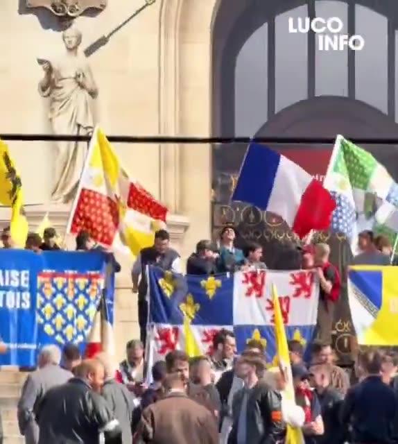 Hundreds of French National Realists march in Paris.